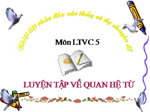 Tuần 12-13. Luyện tập về quan hệ từ