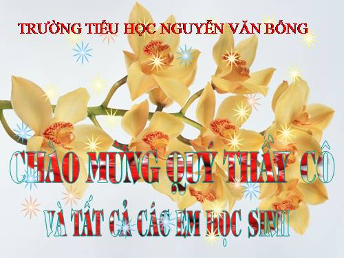 Tuần 26-27. MRVT: Truyền thống