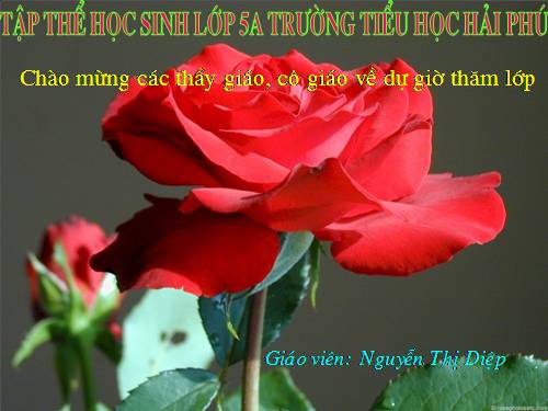 Tuần 20-21. MRVT: Công dân