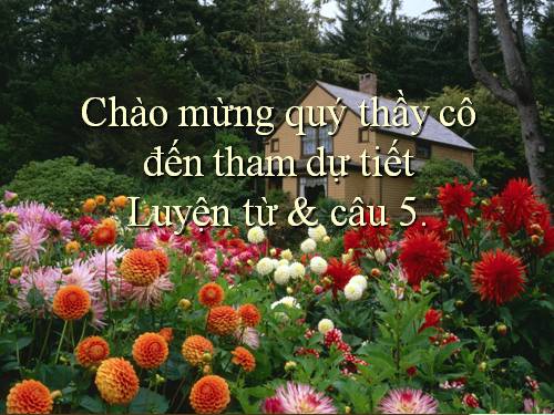 Tuần 4. Luyện tập về từ trái nghĩa