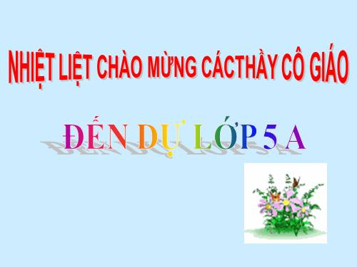 Tuần 12-13. Luyện tập về quan hệ từ