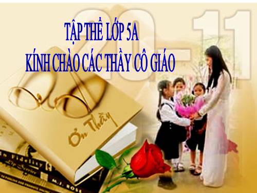 Tuần 11. Đại từ xưng hô