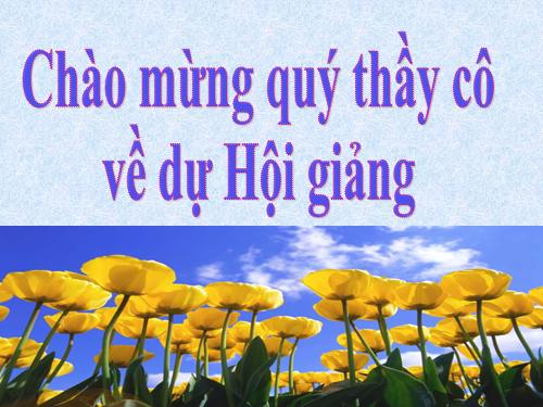 Tuần 11. Đại từ xưng hô
