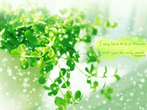 Tuần 12-13. MRVT: Bảo vệ môi trường