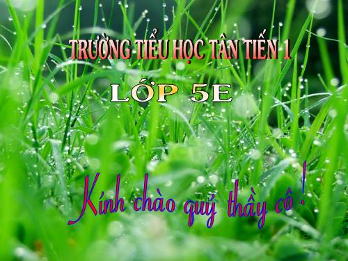 Tuần 12-13. MRVT: Bảo vệ môi trường