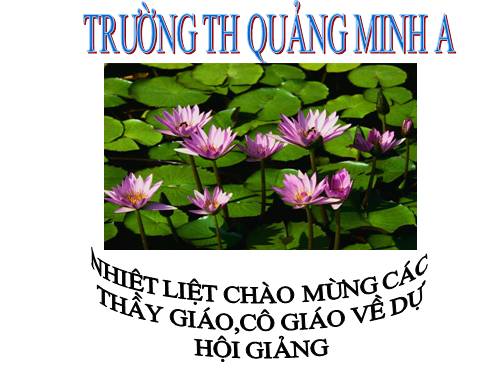 Tuần 20-21-22-23. Nối các vế câu ghép bằng quan hệ từ