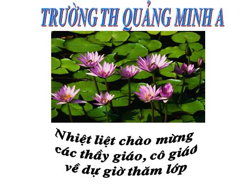 Tuần 1-2-3. Luyện tập về từ đồng nghĩa