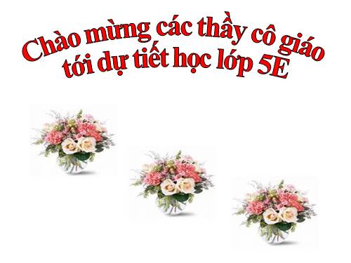 Tuần 25. Liên kết các câu trong bài bằng cách lặp từ ngữ