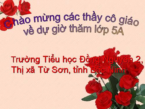 Tuần 23-24. MRVT: Trật tự - An ninh