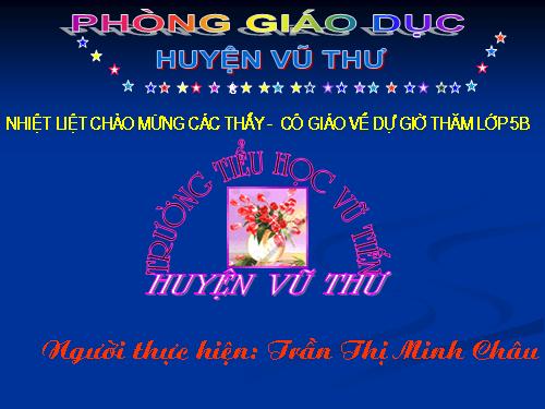 Tuần 23-24. MRVT: Trật tự - An ninh