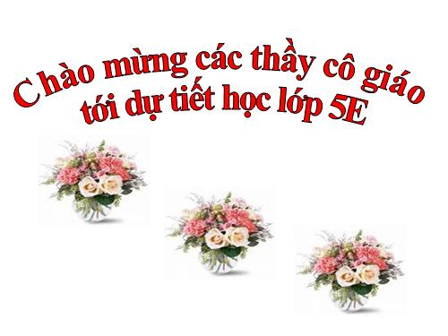 Tuần 25. Liên kết các câu trong bài bằng cách lặp từ ngữ