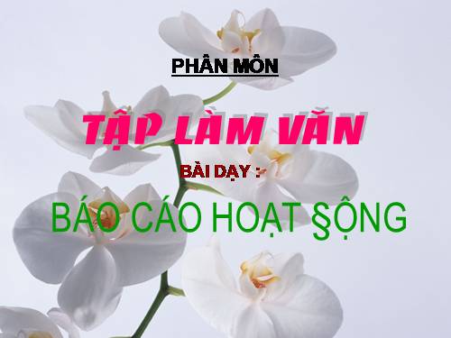 Tuần 20. Báo cáo hoạt động