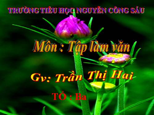 Tuần 33. Ghi chép sổ tay