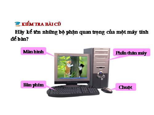 Chương I. Bài 4. Chuột máy tính