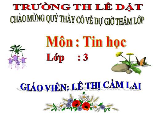 Chương IV. Bài 2. Tô màu bằng màu nền