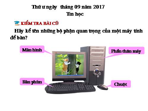 Chương I. Bài 4. Chuột máy tính