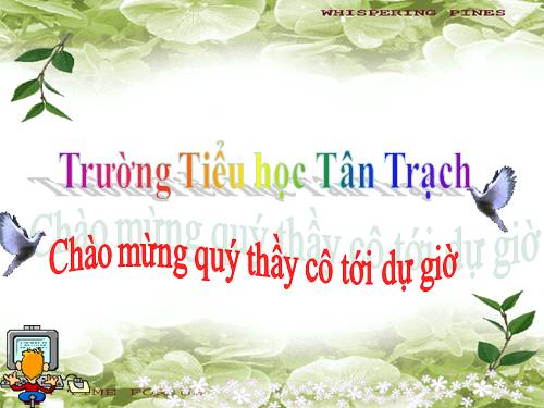 Chương III. Bài 3. Tập gõ các phím ở hàng dưới