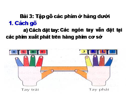 Chương III. Bài 3. Tập gõ các phím ở hàng dưới