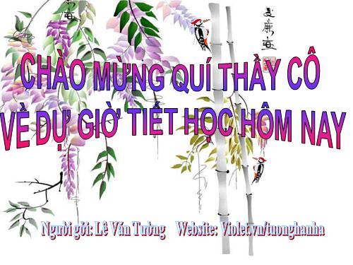 Chương IV. Bài 4. Tẩy, xóa hình