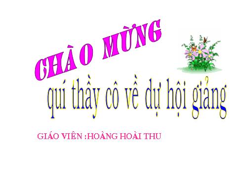 Chương I. Bài 4. Chuột máy tính