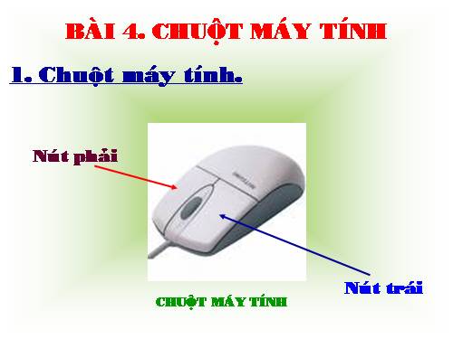 Chương I. Bài 4. Chuột máy tính