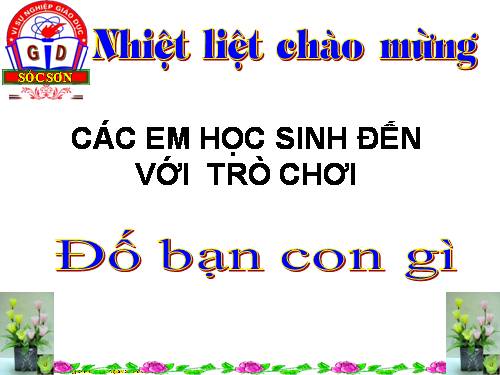 CÂU ĐỐ CON VẬT PHAI MỚI