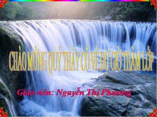 Tiết 9. HH: Những bông hoa những bài ca