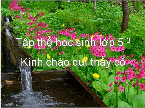 Tiết 11. TĐN: TĐN số 3