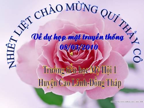 Sinh hoat truyen thong 08-03-2010