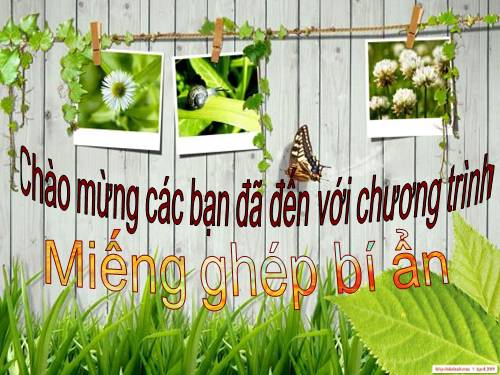 Trò chơi ô chữ về nhạc sĩ Benthoven