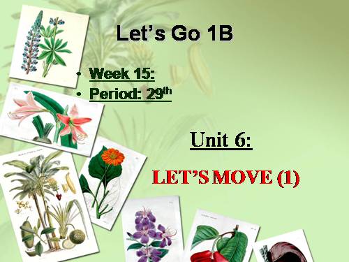 Unit 6. Let’s move