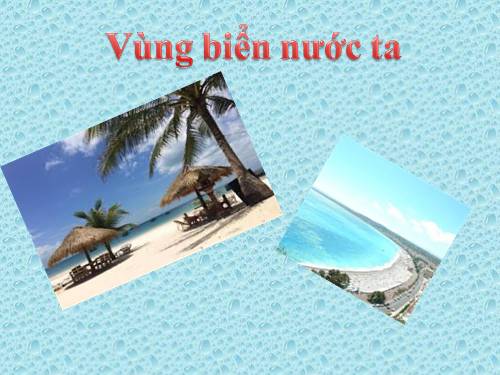 Bài 5. Vùng biển nước ta