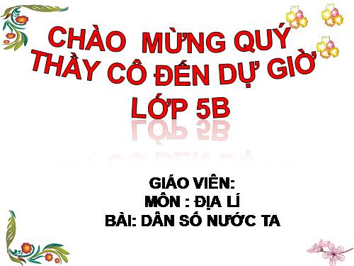 Bài 8. Dân số nước ta