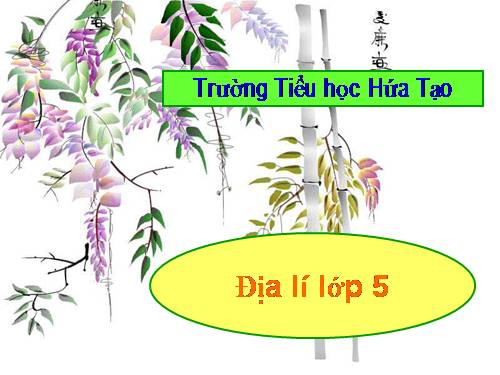 Bài 7. Ôn tập