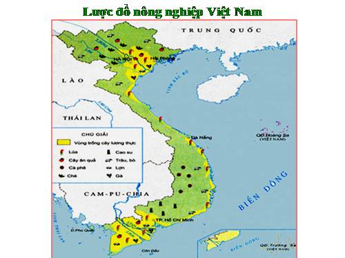 Bài 10. Nông nghiệp