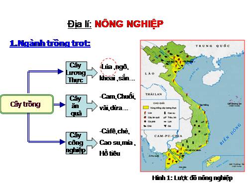 Bài 10. Nông nghiệp