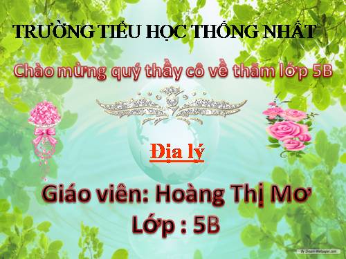 Bài 15. Thương mại và du lịch