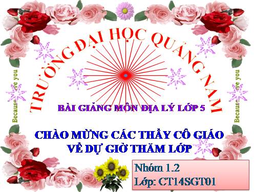 Bài 14. Giao thông vận tải