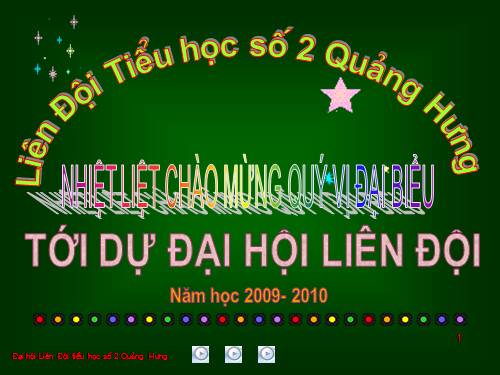 Đại hội Liên đội