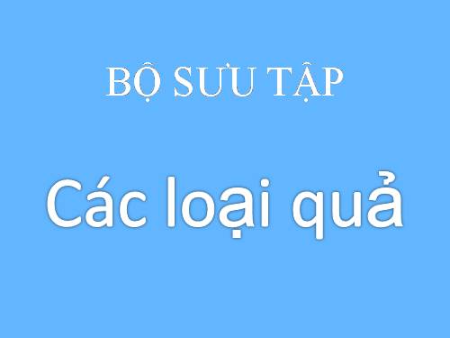 Bộ sưu tập Các loại quả