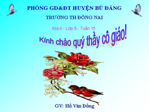 Bài 15. Thương mại và du lịch