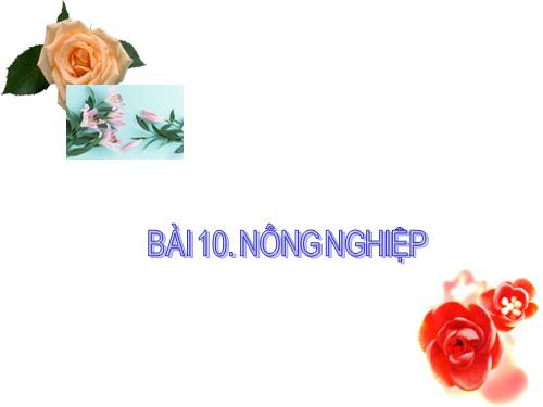 Bài 10. Nông nghiệp