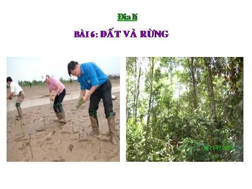 Bài 6. Đất và rừng