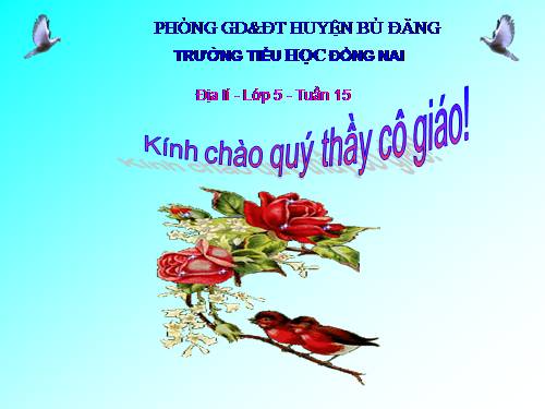 Bài 15. Thương mại và du lịch