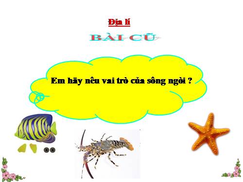 Bài 5. Vùng biển nước ta