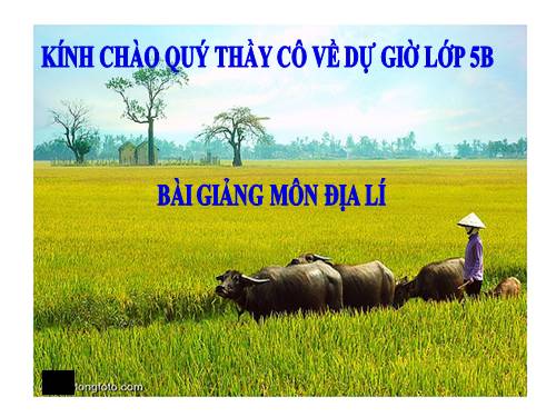 Bài 10. Nông nghiệp