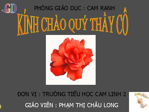 Bài 26. Châu Mĩ (tiếp theo)