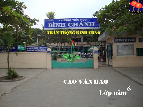 Bài 8. Dân số nước ta