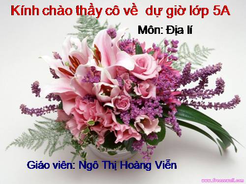 Bài 8. Dân số nước ta