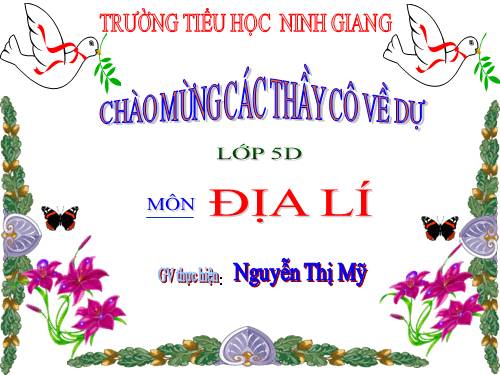 Bài 6. Đất và rừng